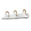 Journey 3-Light Vanity Light in Natural White