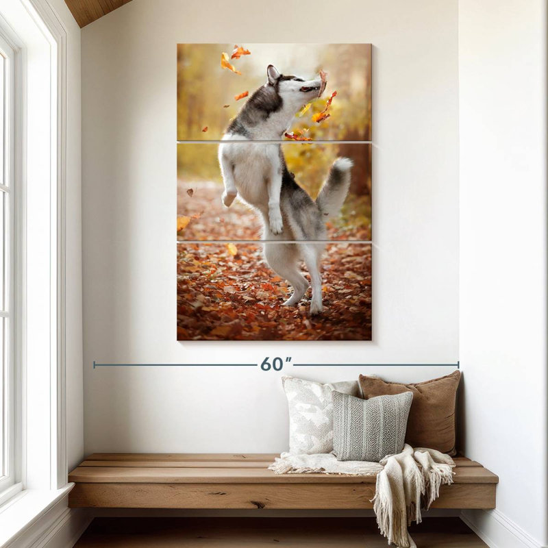 Brampt Autumn Husky Playing, 50" H x 32" W
