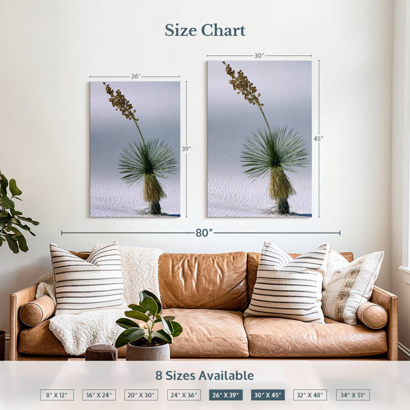 Harnek Yucca Succulent, 39" H x 26" W
