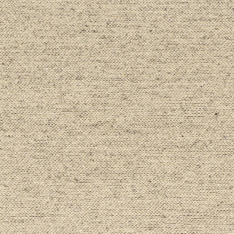 Taura Wool Indoor Rug, Rectangle 2' x 3'