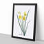 Yellow Daylily by Pierre-Joseph Redoute - Picture Frame Painting Print-55614023-55614027