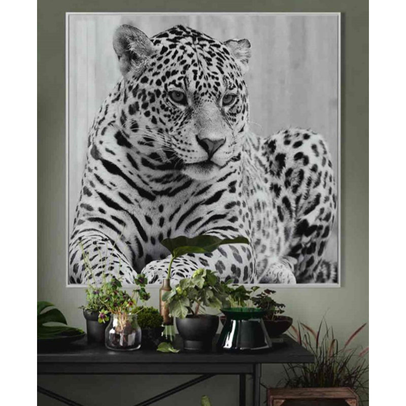 Unknown - Single Picture Frame Print on Glass