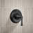 Buckley Rite-Temp Shower Trim Kit, 1.75 Gpm-121887888-121887889