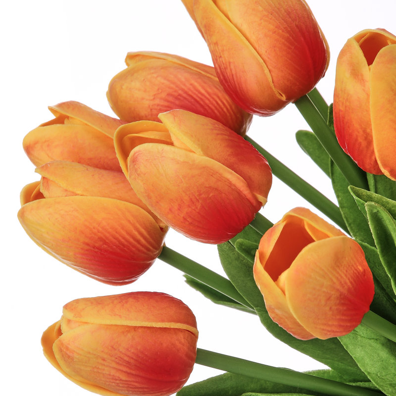 13" Eva Dutch Tulip Bundle