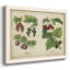 Kitchen Kitchen III, peinture sur toile encadrée-1348733107-1348733113