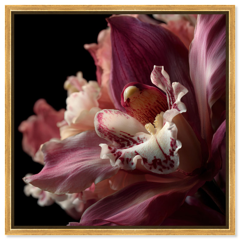 Velvet Labellum Print by Oliver Gal, 25"H x 25"W, Gold Floater Frame