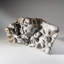 Genuine Natural Fossilized Ammonite Cluster (2 Lbs)