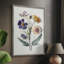 Pressed Flower Memories I, reproduction encadrée - bois massif-2083422818