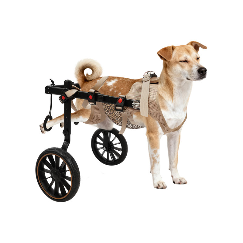 Pet Wheels Dog Wheelchair
