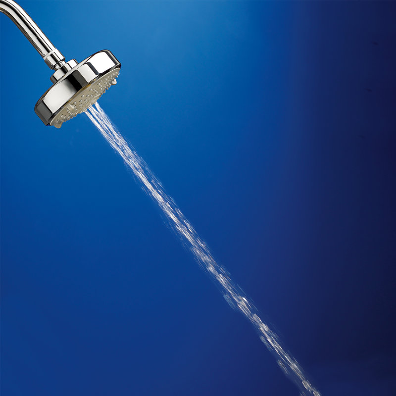 Rain Adjustable Shower Head 1.75 GPM GPM, Polished Chrome