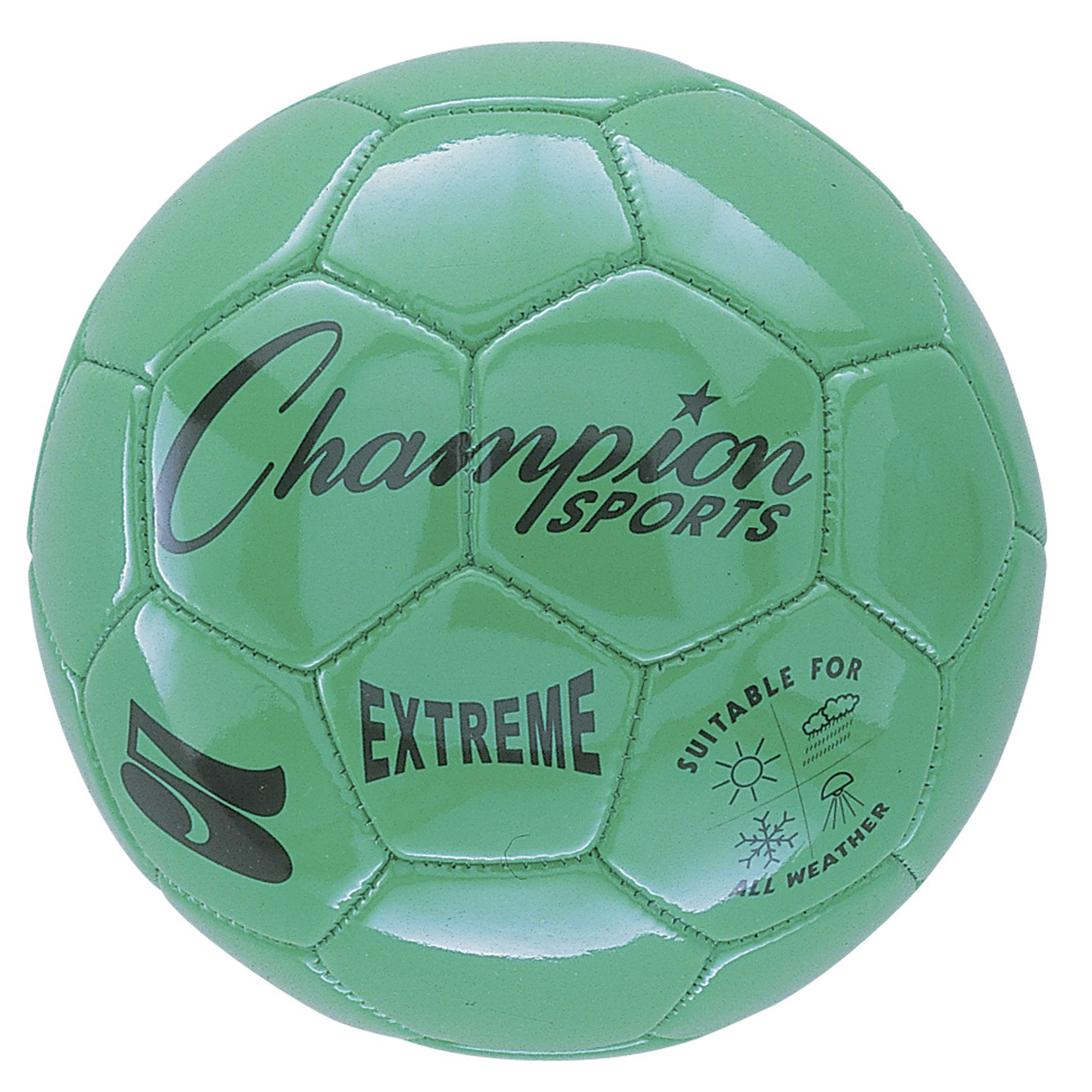 champion soccer ball