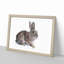 Brown Bunny Rabbit in Abstract - Picture Frame Painting Print-55681266-55681269