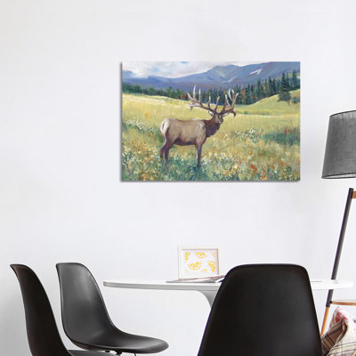 Rocky Mountain Elk I by Tim OToole - Wrapped Canvas Painting