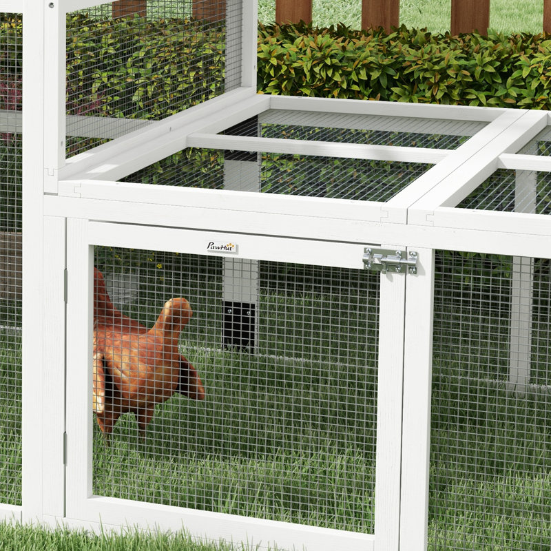 Enguerran 27 Square Feet Chicken Run For Up To 4 Chickens
