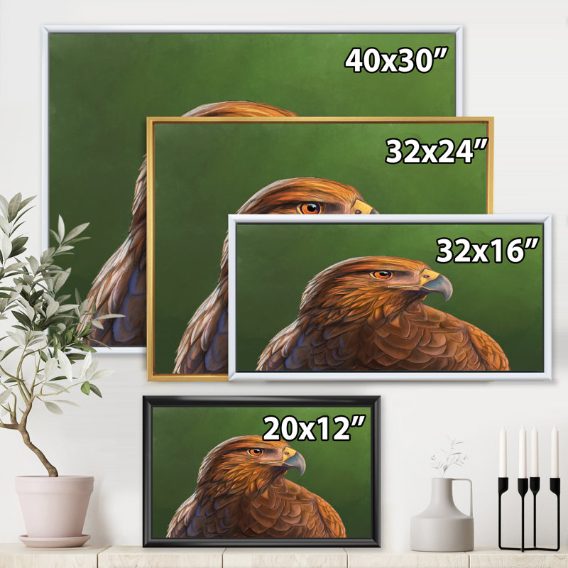 Portrait d'un oiseau Hawk - impression sur toile, H 16 po x l 32 po x p 1 po, Cadre noir