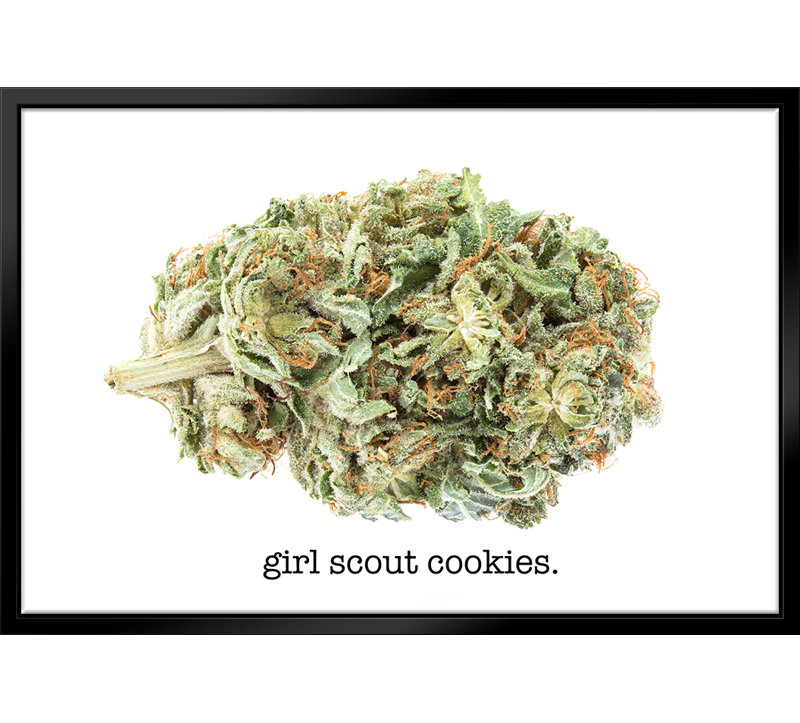 Girl Scout Cookies Strain Labellisée - Reproduction sur toile flottante
