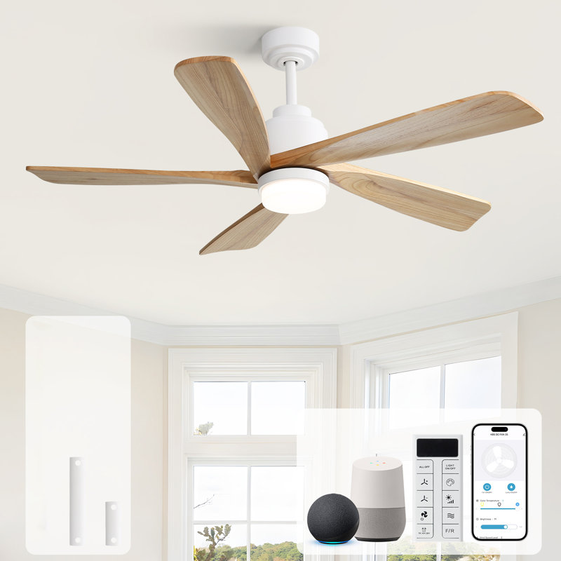 Damecia 52'' Ceiling Fan with LED Lights, White/Burlywood