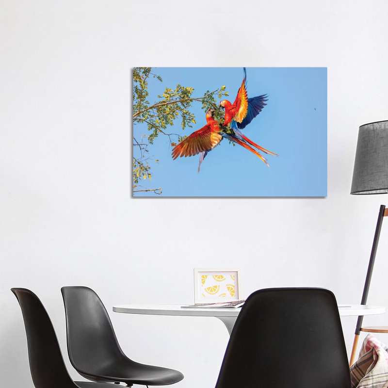 Central America, Costa Rica. Scarlet Macaw Pair In Tree. by Jaynes Gallery - Wrapped Canvas Gallery-Wrapped Canvas Giclée