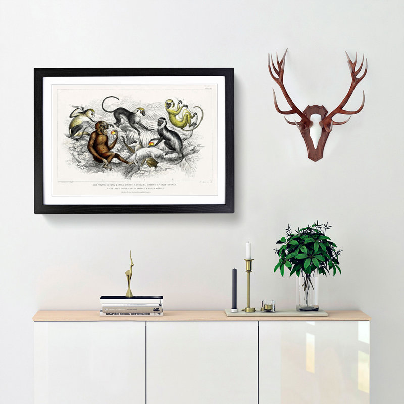 Orangutan and Monkeys by Oliver Goldsmith - Framed Print, 27cm H x 36cm W x 2cm D, Black Framed