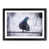 Black Framed selected