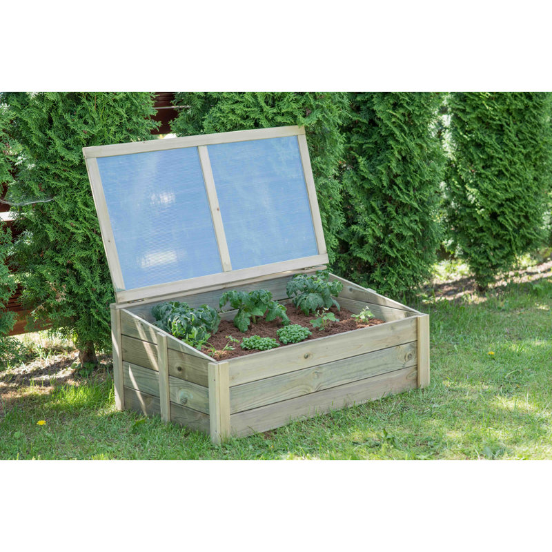 Aadan 3 Ft W x 2 Ft D Cold-Frame Greenhouse