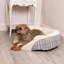 Kurtz Polyester Pet Bed-1030363117