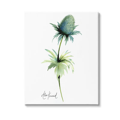«Simple Thistle Plant», art mural par Alexandria Gilbert Kincaid