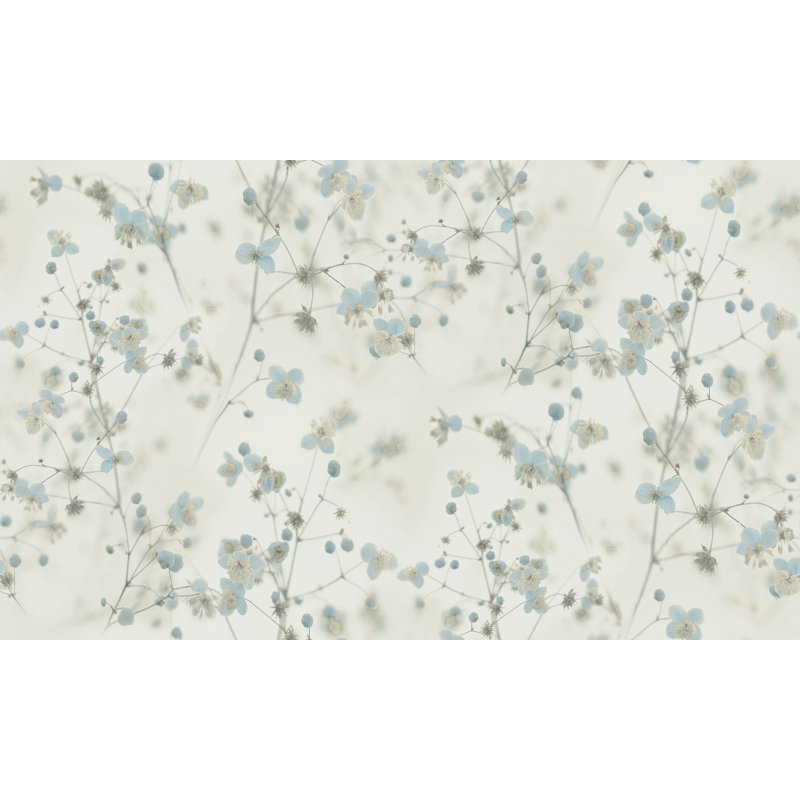 Blooming Wild Blooming Wild Delicate Buttercup Motif 10m x 53cm Wallpaper Roll, Cream/Blue/Grey