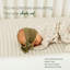 Soho 3-in-1 Convertible Crib-1605520368