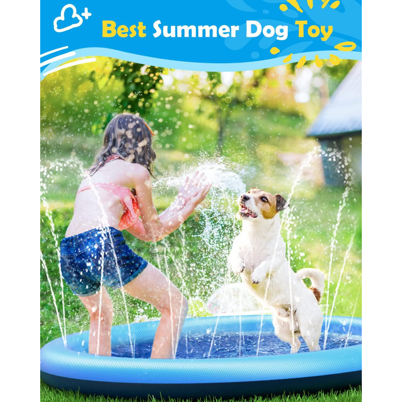 Piscine antidérapante pour chien 67 po Peteast
