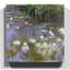 Claude Monet - Wrapped Canvas Painting-19089645