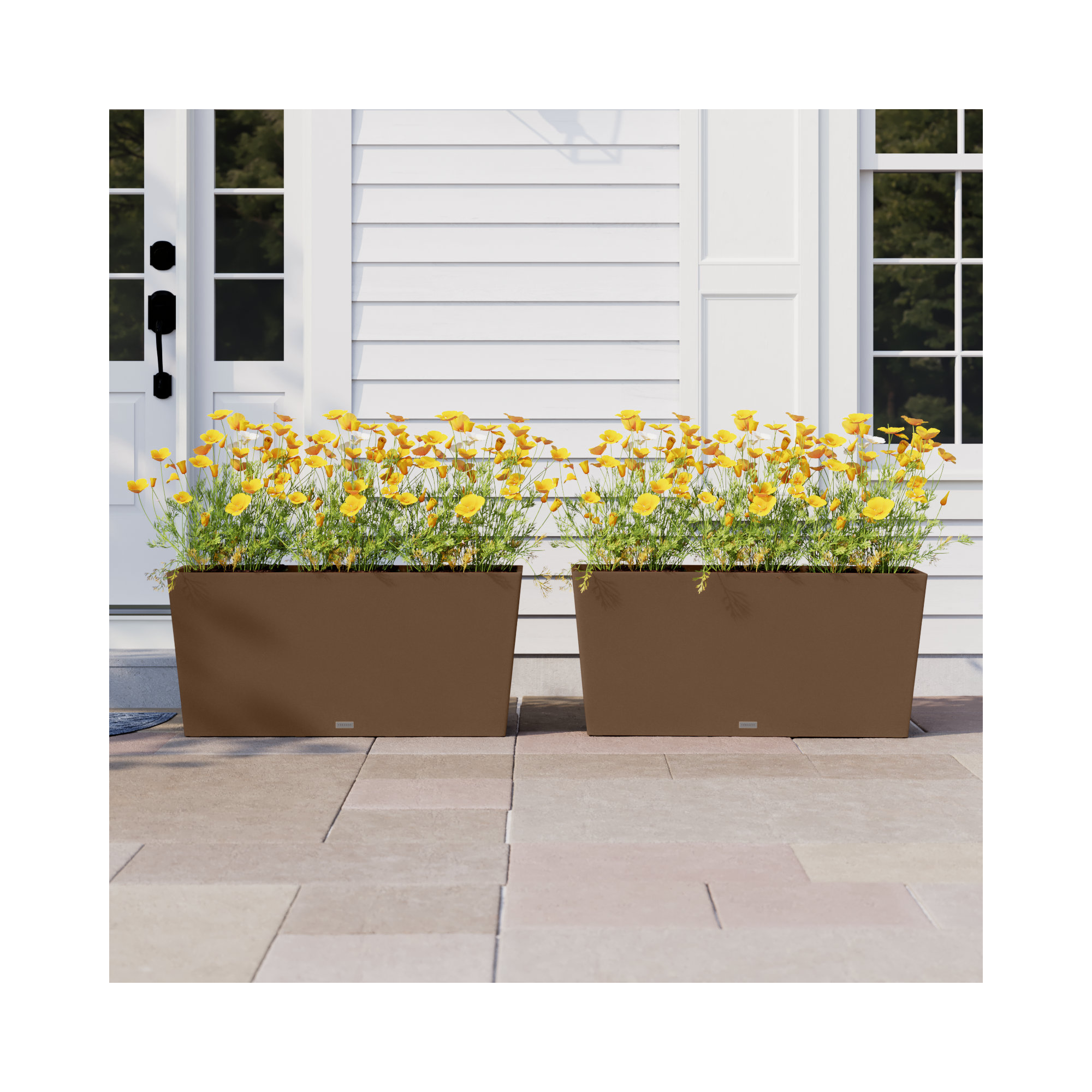 Pure Series Midori Planter, 2, 19.75" H x 39.5" W x 12.5" D, Espresso