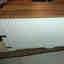 Photos des clients 1 de 2