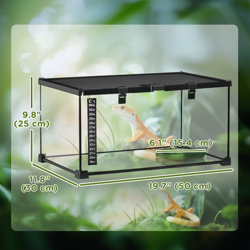 Terrarium en verre, enceinte d'araignée sauteuse avec thermomètre