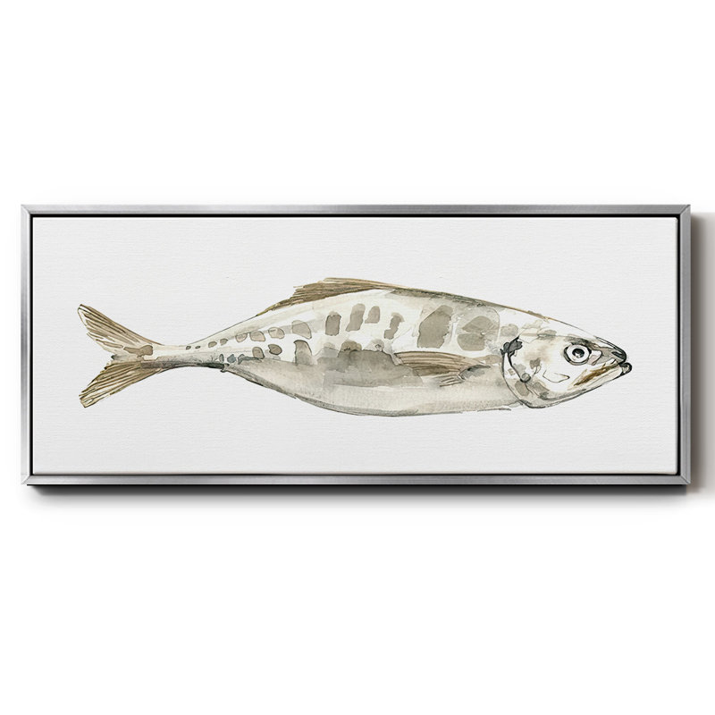 Silver Fish II- Framed Canvas, 20" H x 50" W