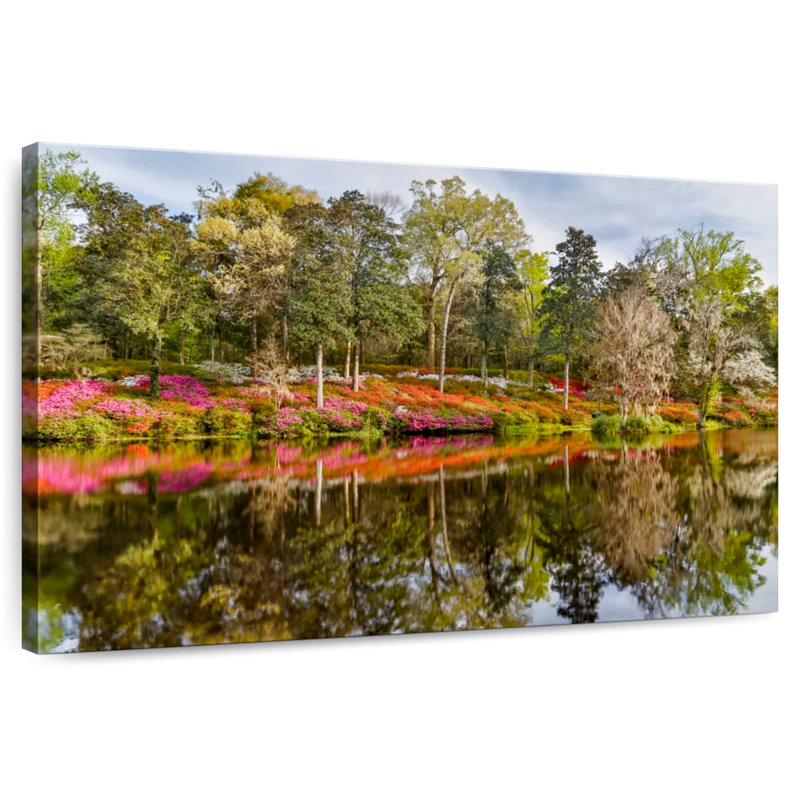 Alvord Forest Azaleas