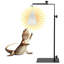 Reptile lamp stand