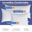 Coussin 100% coton 550-160267316