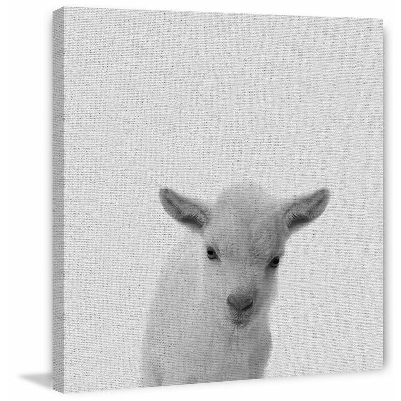 Lamb Surprise - Drawing on Canvas, 30cm H x 30cm W