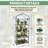 4 Tier Mini Greenhouse - Portable Greenhouse with Rust-Resistant Frame and PVC Cover for Indoor/Outdoor - 27.5x19x63-Inch Green House by Pure Garden