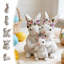 Lapin de Pâques Figurine lapins en résine-971561529