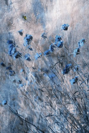Wrapped Canvas Print, 81.28 cm H x 121.92 cm W