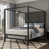 Black+Dark Gray