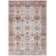 Motez Oriental Indoor Rug