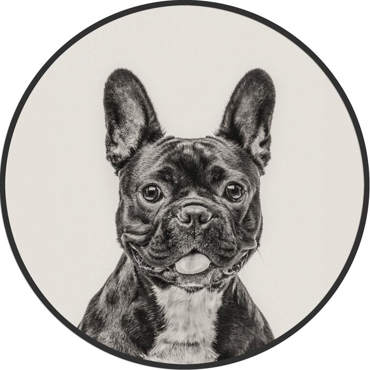 Stupell Industries Dashing French Bulldog and Iconic Bookstack