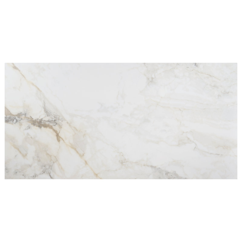 Calacatta Macchia 24X48 Marble Look Matte Porcelain Floor And Wall Tile