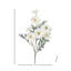 Marguerite marguerite X7 + 3bud 25 po-1717643293