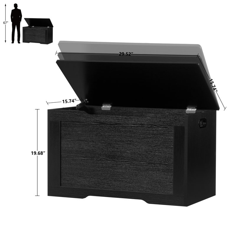 Storage Chest with 2 Safety Hinges, Lift Top Storage Bench, Storage Trunk, for Bedroom, Black, 19.68" H x 29.52" W x 15.74" D