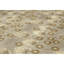 Floral Area Rug in Light Gray/Beige/Brown-2093356516