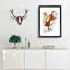 White-Bellied Flying Squirrel Illustration by John Edward Gray - Picture Frame Painting Print-55612685-55612687